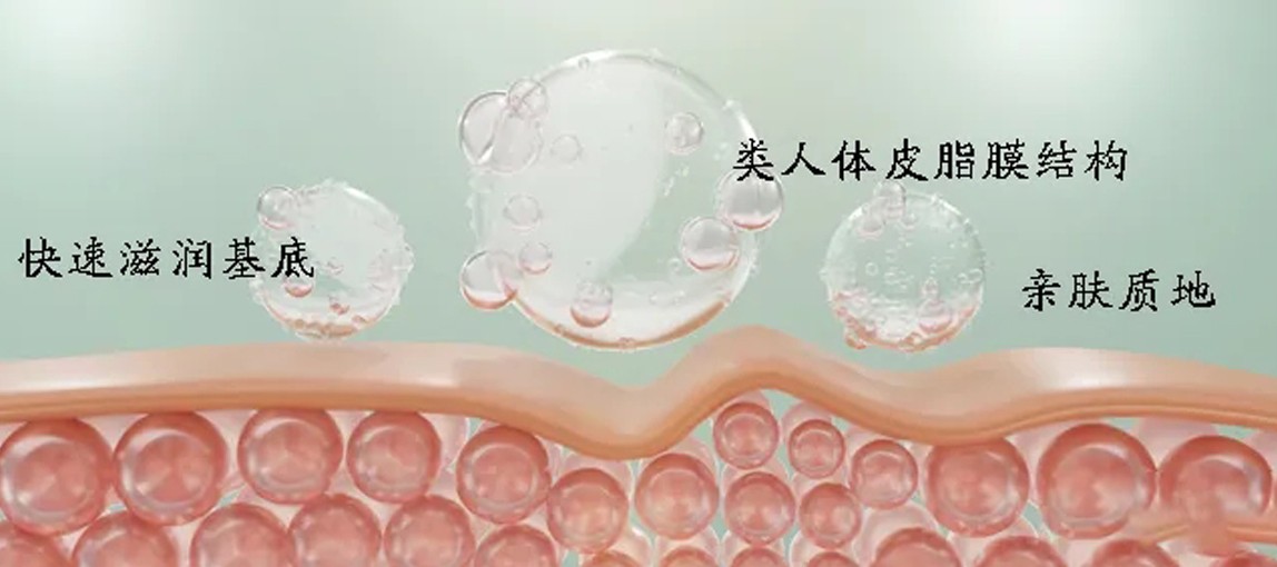 揭秘尖端生物科技：植物仿生皮脂，模擬細胞間脂質功效，修護皮膚屏障，強韌肌膚！